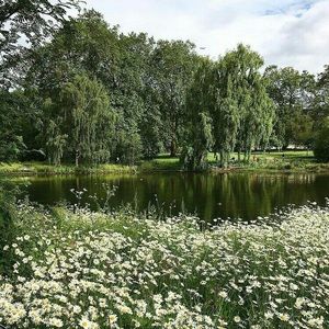 Meet your Posher, Brianne